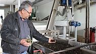 Pressverfahren für die Herstellung von Olivenöl