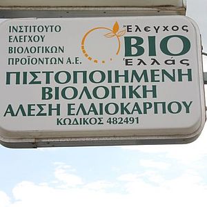 Schild Olivenöl 2012 Kreta - KALAMKI HOLIDAYS