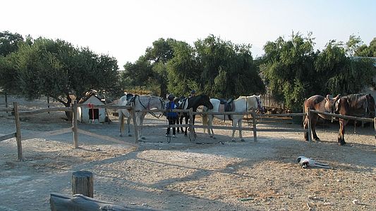 Pitsidia - Gemeinde Matala auf Kreta
