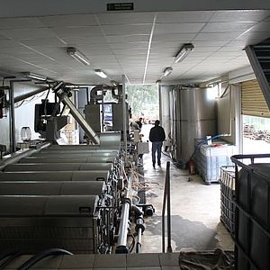 Zentrifugen für die Herstellung von Olivenöl