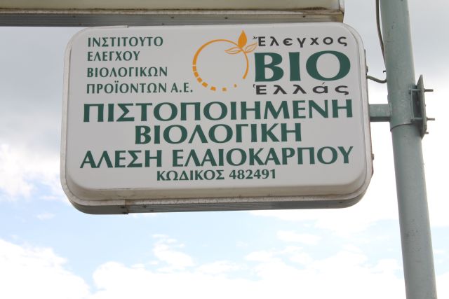Schild Olivenöl 2012 Kreta - KALAMKI HOLIDAYS